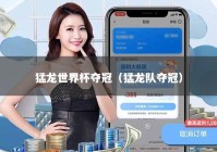 猛龙世界杯夺冠（猛龙队夺冠）