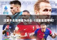 汉堡不去德甲是为什么（汉堡是德甲吗）
