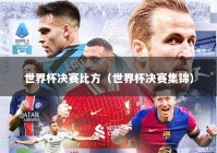 世界杯决赛比方（世界杯决赛集锦）