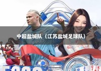 中超盐城队（江苏盐城足球队）