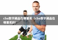 cba数字藏品在哪里买（cba数字藏品在哪里买的）